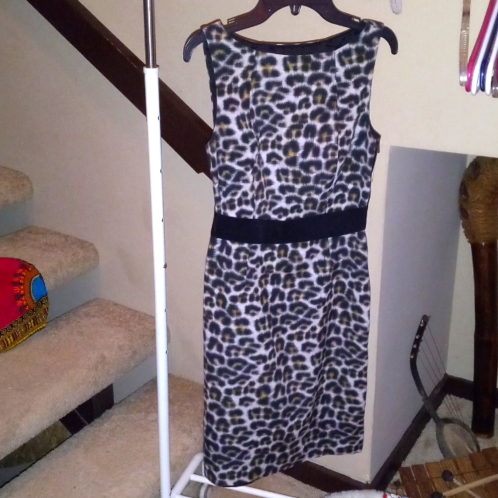 Ann Taylor Leopard Print Dress Size 0